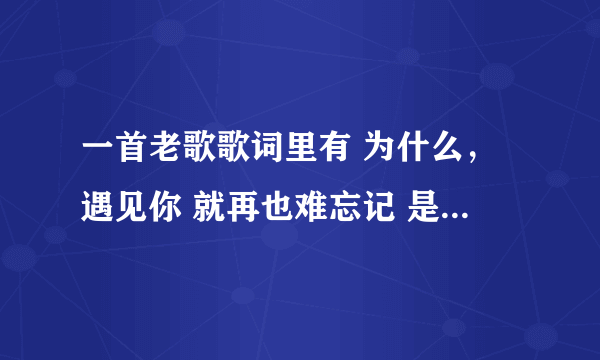 一首老歌歌词里有 为什么，遇见你 就再也难忘记 是什么歌?