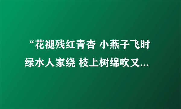 “花褪残红青杏 小燕子飞时绿水人家绕 枝上树绵吹又少 天涯何处无芳草”作者谁？全文是什么？