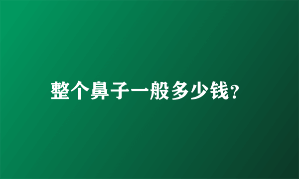 整个鼻子一般多少钱？