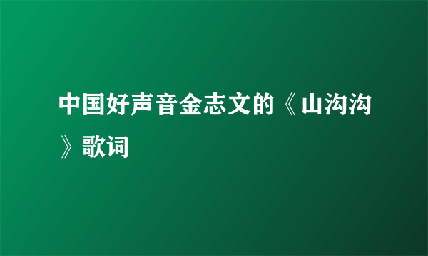 中国好声音金志文的《山沟沟》歌词