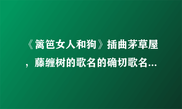 《篱笆女人和狗》插曲茅草屋，藤缠树的歌名的确切歌名是什么？