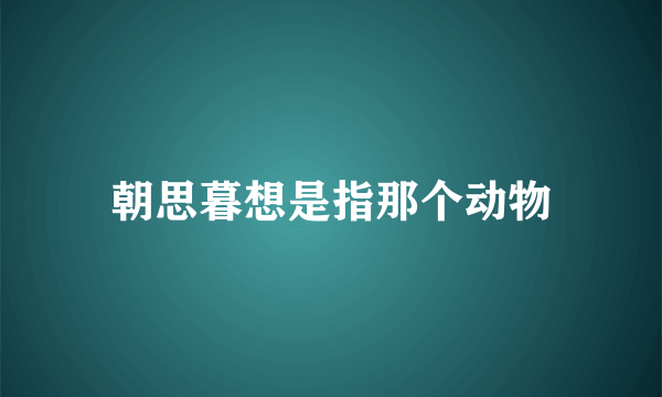 朝思暮想是指那个动物