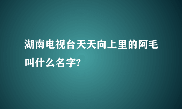 湖南电视台天天向上里的阿毛叫什么名字?