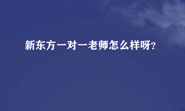 新东方一对一老师怎么样呀？