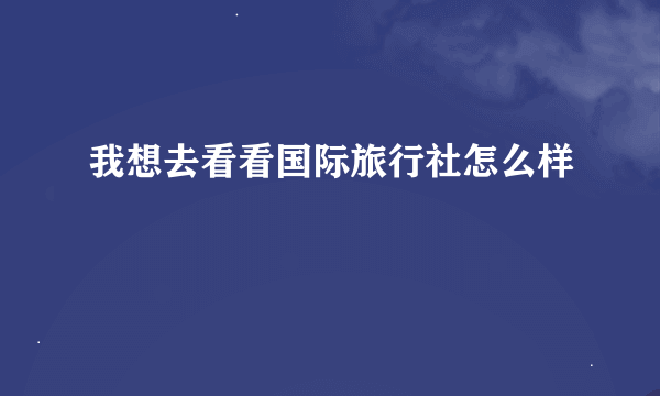 我想去看看国际旅行社怎么样