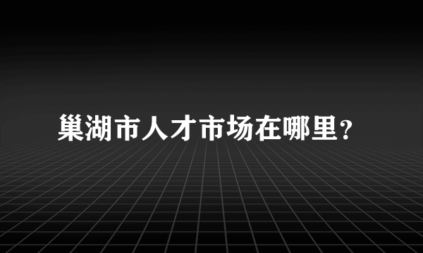 巢湖市人才市场在哪里？