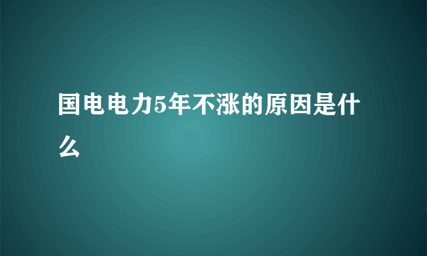 国电电力5年不涨的原因是什么