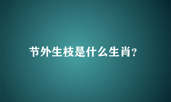 节外生枝是什么生肖？