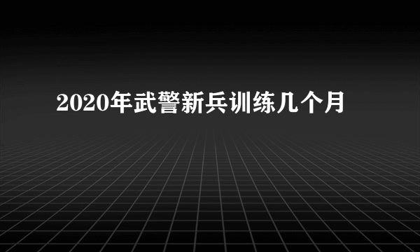 2020年武警新兵训练几个月