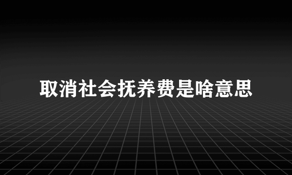 取消社会抚养费是啥意思