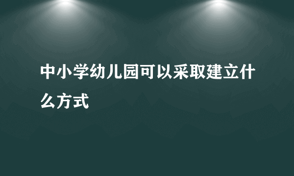 中小学幼儿园可以采取建立什么方式