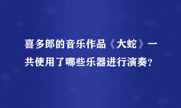 喜多郎的音乐作品《大蛇》一共使用了哪些乐器进行演奏？