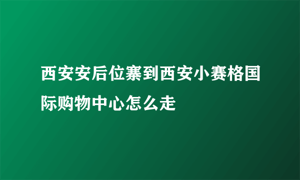 西安安后位寨到西安小赛格国际购物中心怎么走