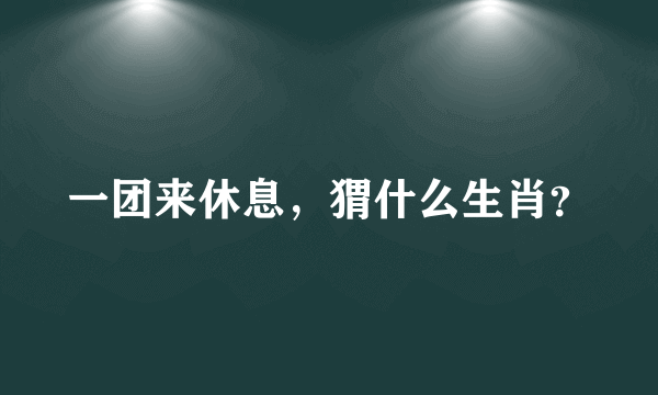 一团来休息，猬什么生肖？