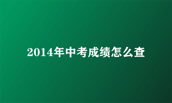 2014年中考成绩怎么查