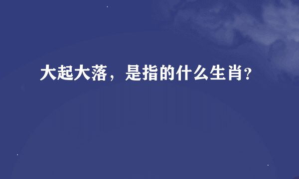 大起大落，是指的什么生肖？