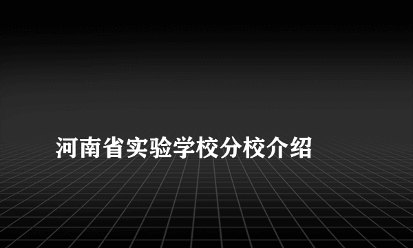 
河南省实验学校分校介绍

