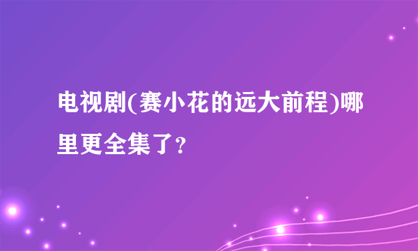 电视剧(赛小花的远大前程)哪里更全集了？