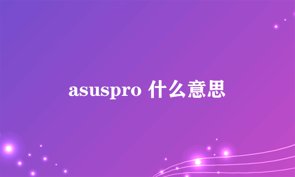 asuspro 什么意思