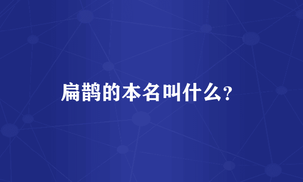 扁鹊的本名叫什么？