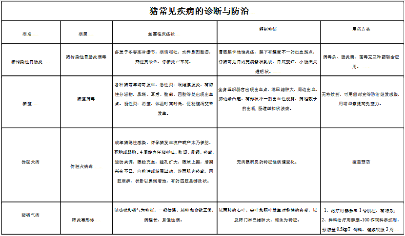 三十二种常见的猪病有哪些？