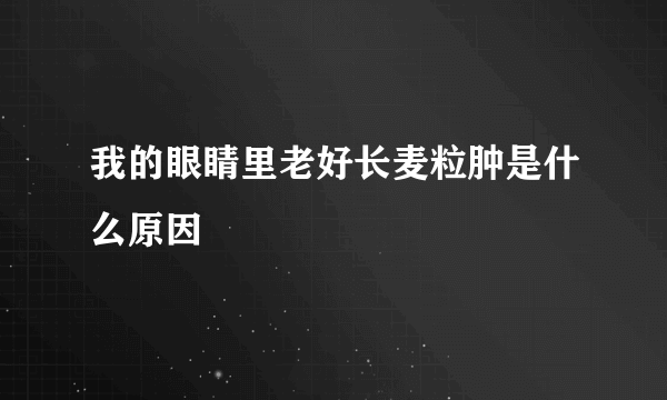 我的眼睛里老好长麦粒肿是什么原因