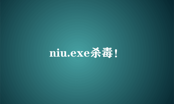 niu.exe杀毒！