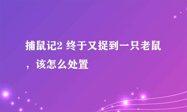 捕鼠记2 终于又捉到一只老鼠，该怎么处置