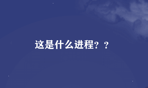 这是什么进程？？