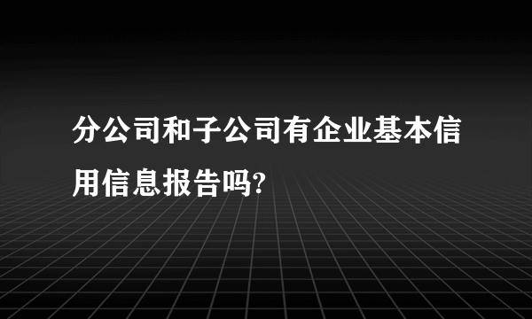 分公司和子公司有企业基本信用信息报告吗?