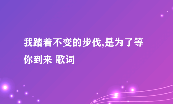 我踏着不变的步伐,是为了等你到来 歌词