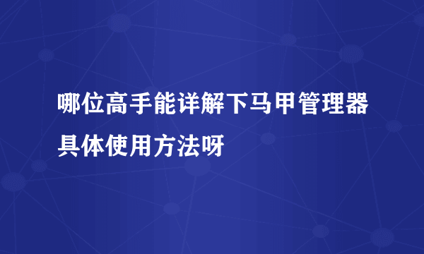 哪位高手能详解下马甲管理器具体使用方法呀