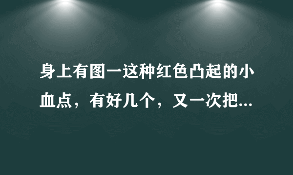 身上有图一这种红色凸起的小血点，有好几个，又一次把身上有个地方的