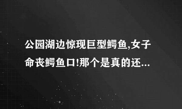 公园湖边惊现巨型鳄鱼,女子命丧鳄鱼口!那个是真的还是假的啊