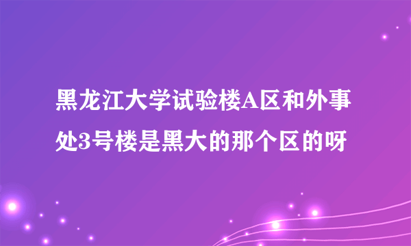 黑龙江大学试验楼A区和外事处3号楼是黑大的那个区的呀