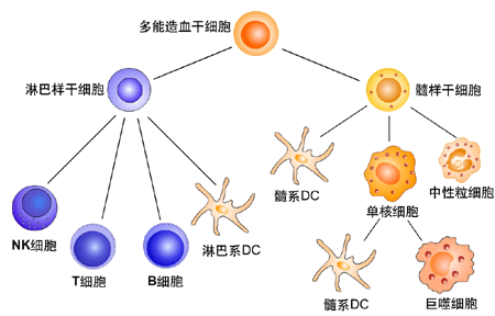 组织多肽特异抗原高了是怎么回事