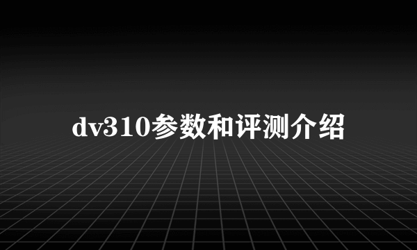 dv310参数和评测介绍