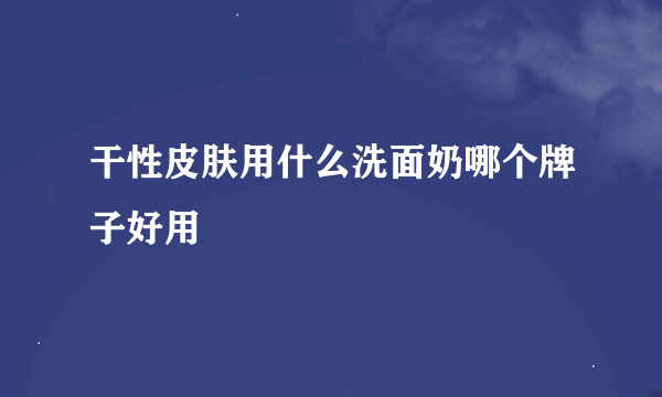 干性皮肤用什么洗面奶哪个牌子好用