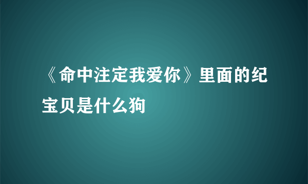 《命中注定我爱你》里面的纪宝贝是什么狗