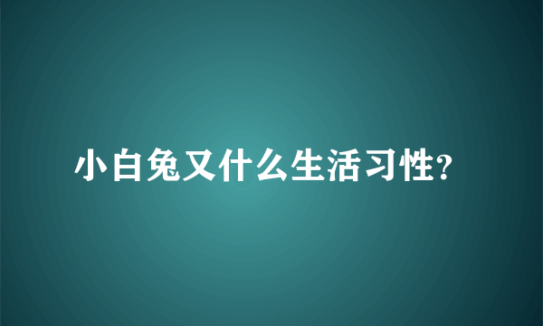 小白兔又什么生活习性？