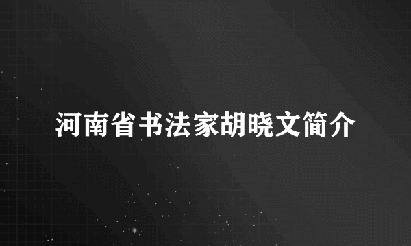 河南省书法家胡晓文简介