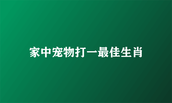 家中宠物打一最佳生肖