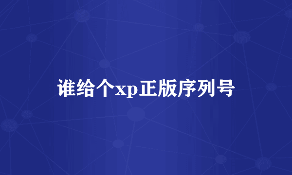 谁给个xp正版序列号