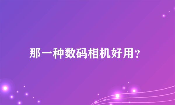 那一种数码相机好用？