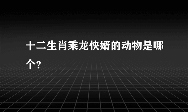 十二生肖乘龙快婿的动物是哪个？