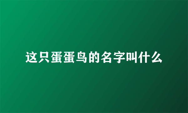 这只蛋蛋鸟的名字叫什么