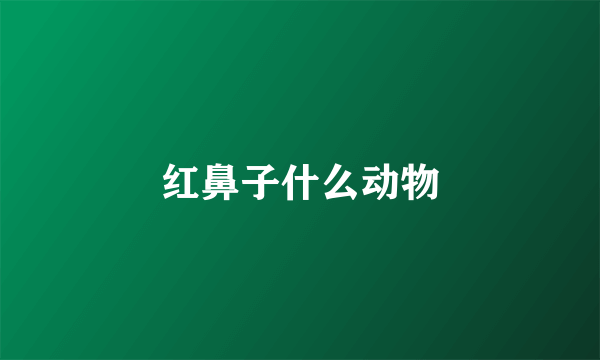 红鼻子什么动物