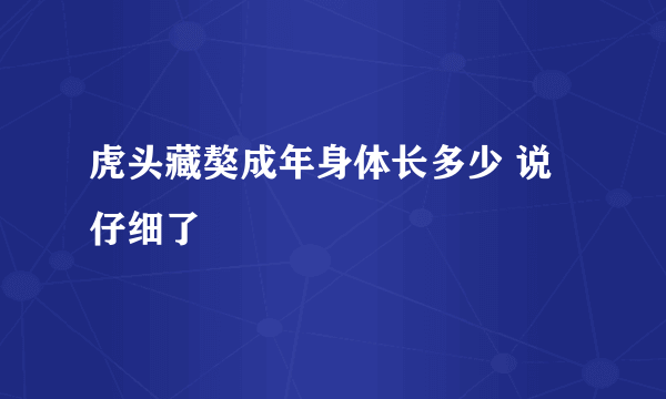 虎头藏獒成年身体长多少 说仔细了