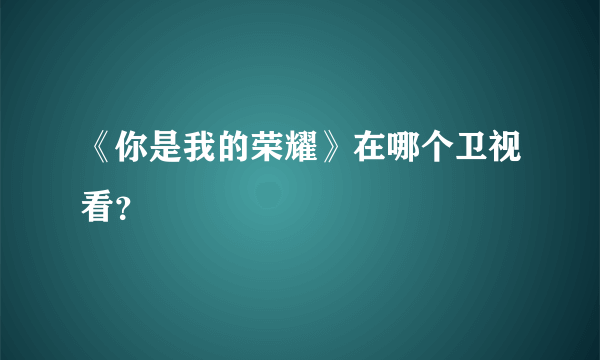 《你是我的荣耀》在哪个卫视看？