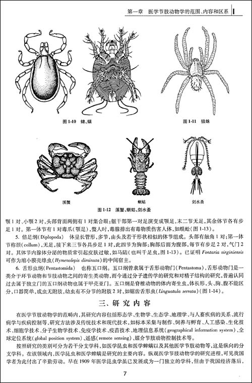 医学节肢动物的种类